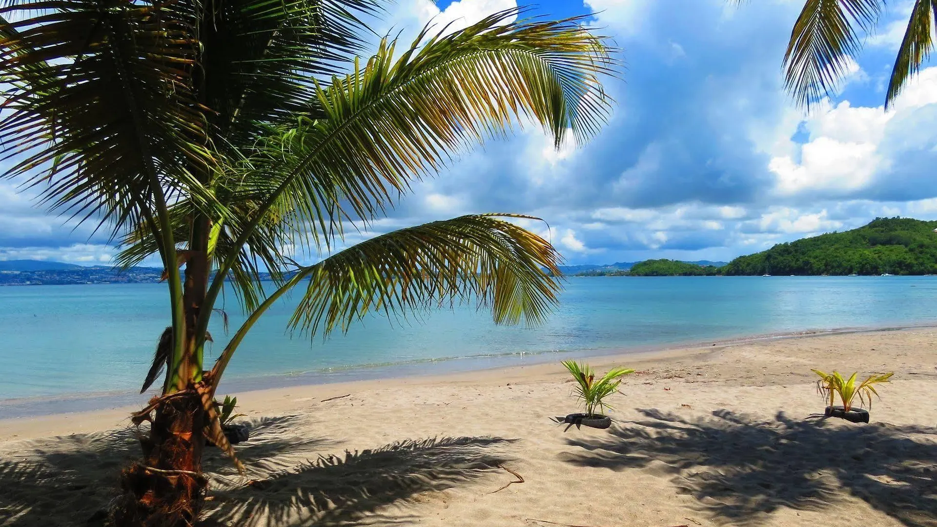 Domaine De L'Anse Ramier Aparthotel Les Trois-Ilets Martinique