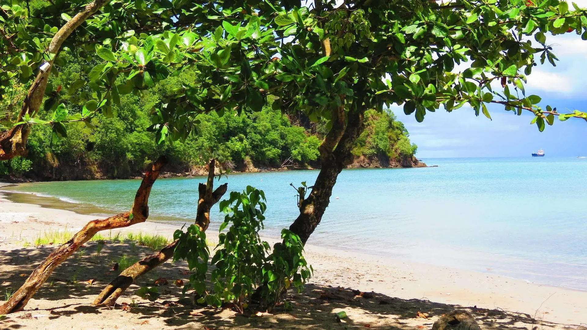 Domaine De L'Anse Ramier Aparthotel Les Trois-Ilets 3*,  Martinique