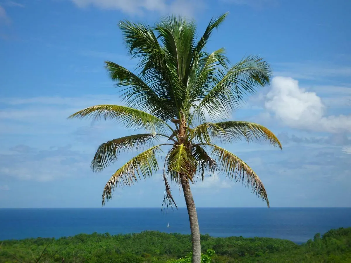 Domaine De L'Anse Ramier Aparthotel Les Trois-Ilets 3*,
